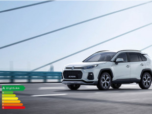 Suzuki ACROSS Hybride Rechargeable